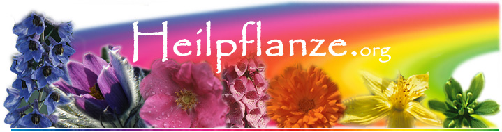 Heilpflanze.org