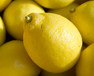 Zitrone - Zitrus lemon Zitrone - Zitrus lemon