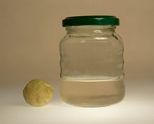 Fertiger Zwiebelsaft mit Zwiebel-Presskugel Fertiger Zwiebelsaft mit Zwiebel-Presskugel