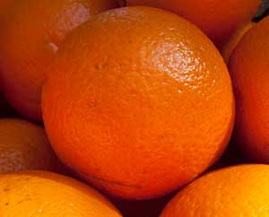 Orange (Citrus sinensis) oder "Chinaapfel" Orange (Citrus sinensis) oder "Chinaapfel"