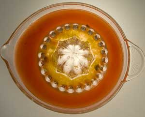frisch gepresster Orangensaft frisch gepresster Orangensaft
