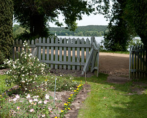 Im "Ersatz-Rosengarten" Im "Ersatz-Rosengarten"