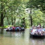 Spreewald-Kähne im Auenwald