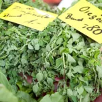 Küchenkräuter auf dem Wochenmarkt