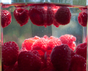 Schwimmende Himbeeren