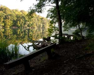 Schmaler Luzin
