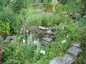 Baldrian, Wermut-