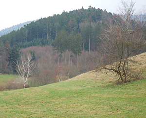 Buchenbach/ Freiburg