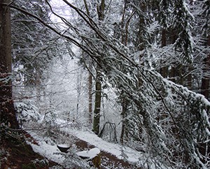 Winter1
