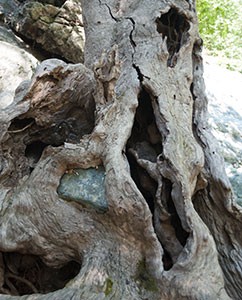 Baum-Kunstwerke
