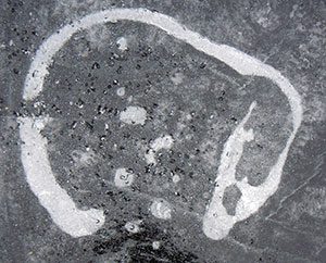 vielleicht eine Wasserschlange