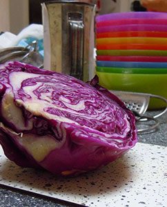 Rotkohl