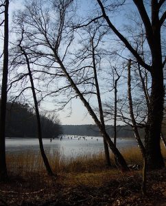 Krumme Lanke, Berlin
