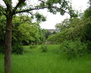Comenius-Garten, Berlin-Rixdorf