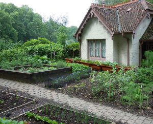 Gemüse-Garten des Vogelwächter-Hauses