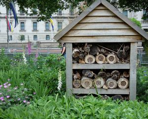 Insekten-Hotel