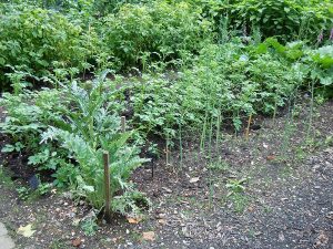 Gemüsegarten