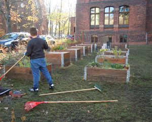 Kräutergarten im Schulvorhof