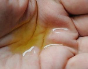  Rosmarin-Massage-Öl