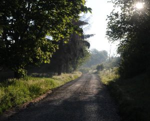 Kleiner Feldweg