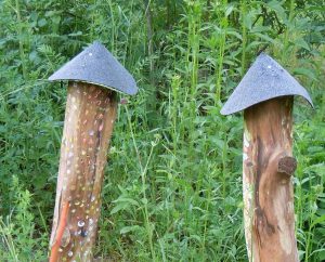 Lebensraum für die Rote Mauerbiene
