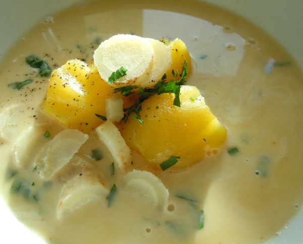 Fenchel Petersilienwurzel Suppe - Rezepte Suchen