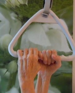 Heilpflanzen bei Langzeitkranken