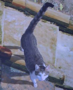Eine Katze heisst willkommen